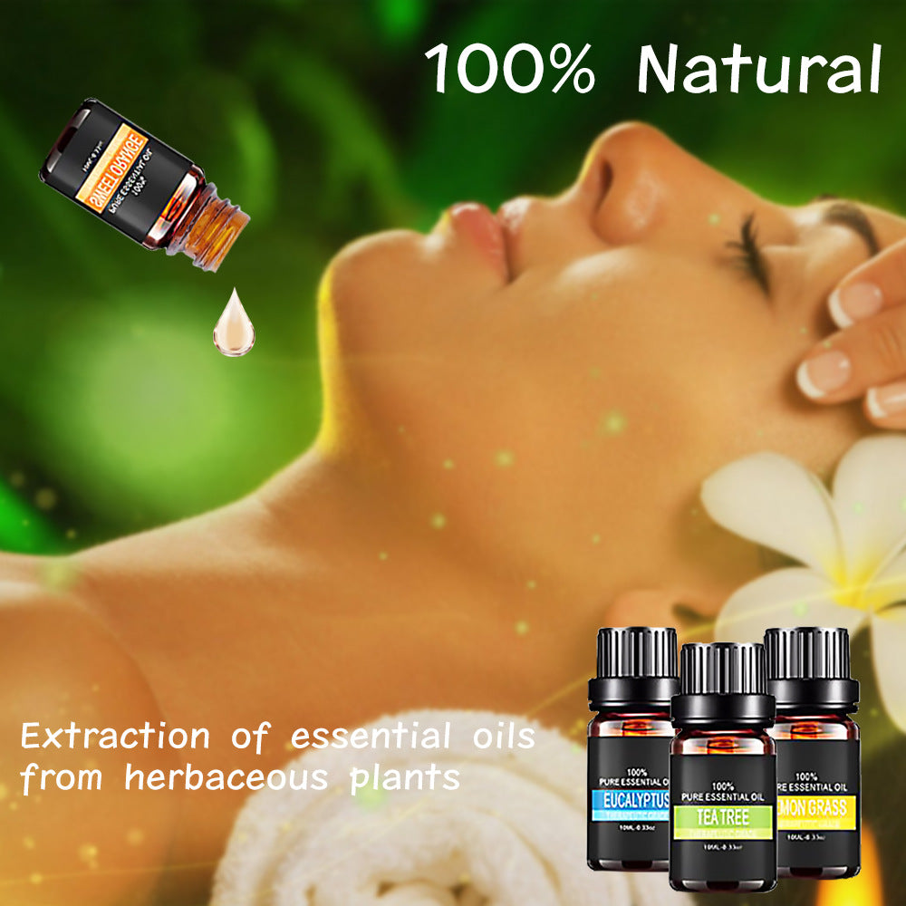 The Essence Collection — 6-Pack Organic Aromatherapy Essential Oils for Diffuser | AUREVIE